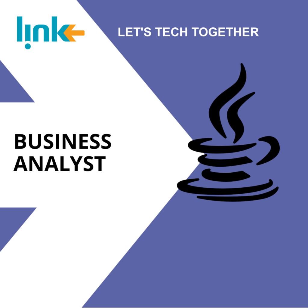Business Analyst