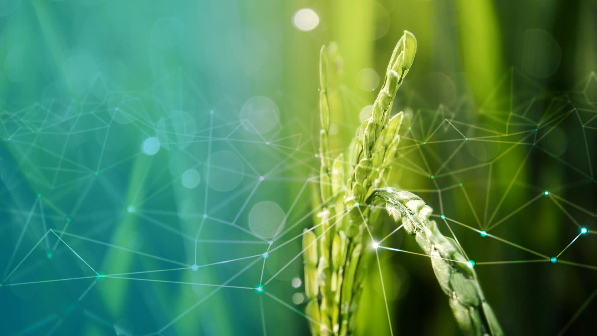 Environmental, Social, and Governance (ESG)