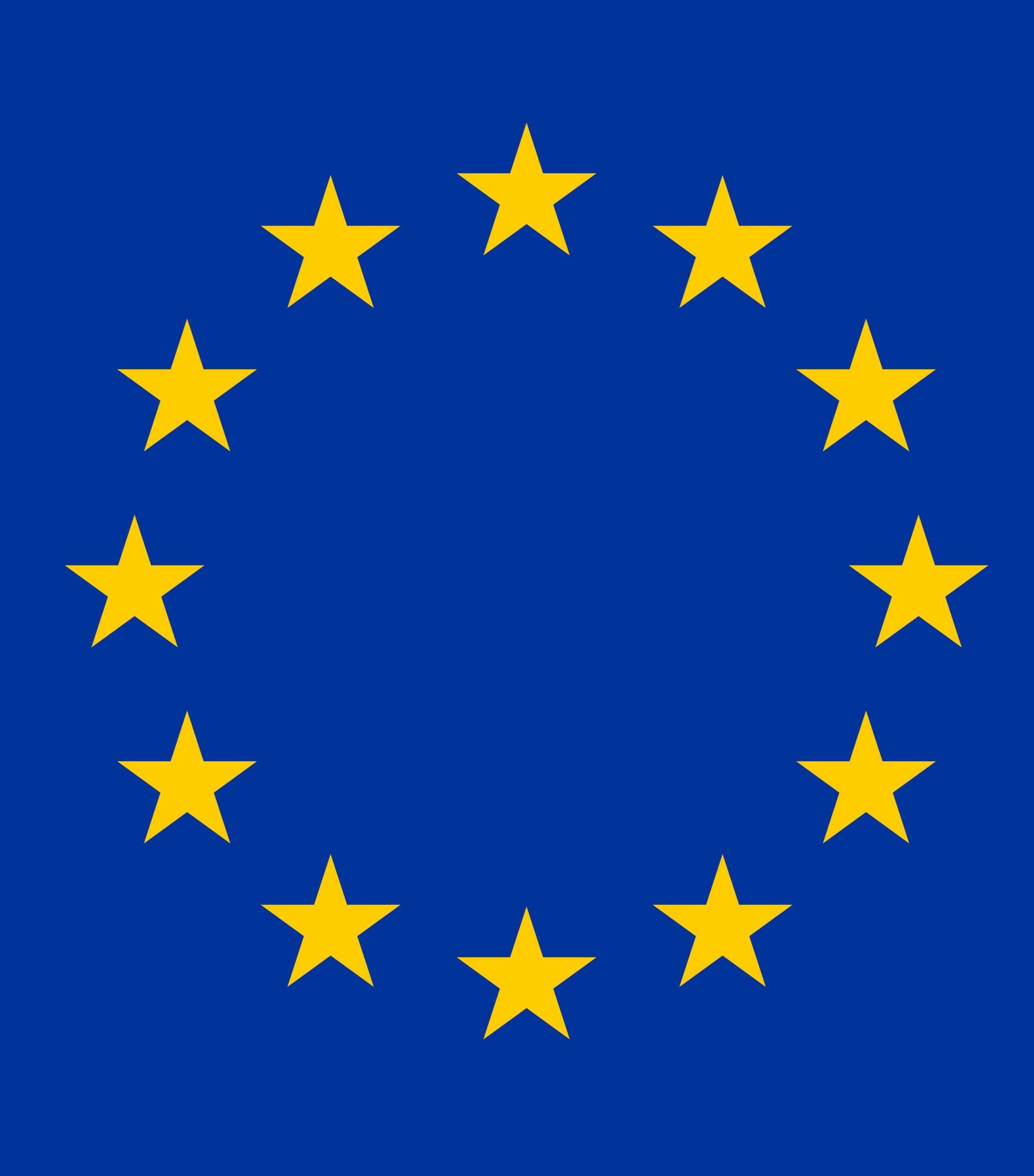 Leading European Financial Institution